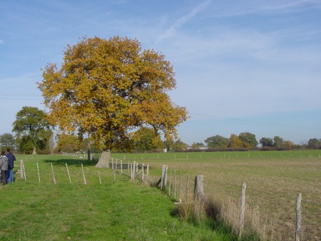 A la Grange à Gaudon